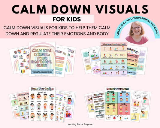 Calm Down Visuals For Kids Bundle