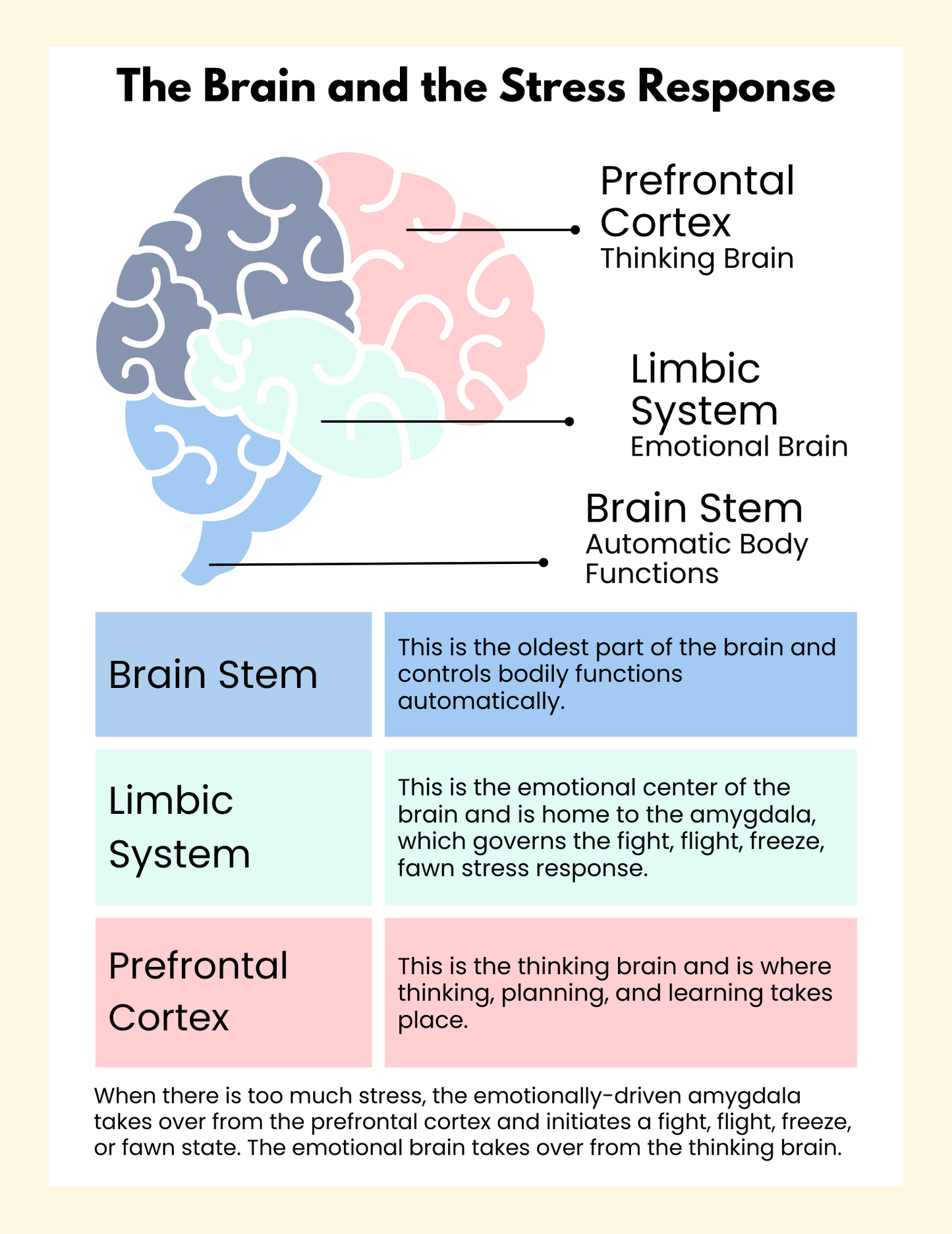 Foundations of Nervous System Regulation: A Neurodivergent-Friendly Roadmap