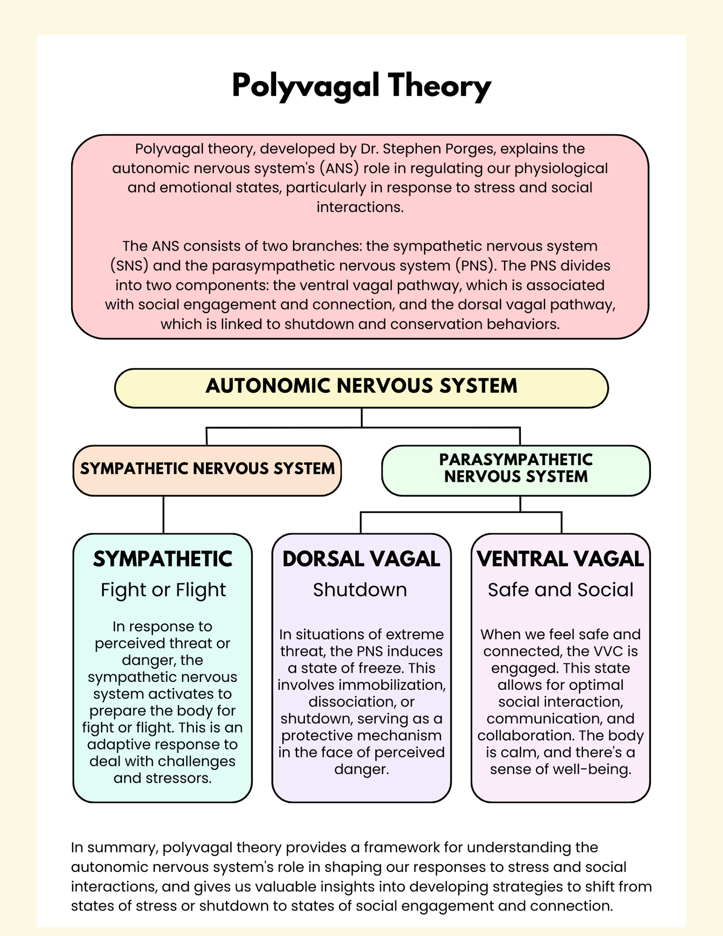 Foundations of Nervous System Regulation: A Neurodivergent-Friendly Roadmap