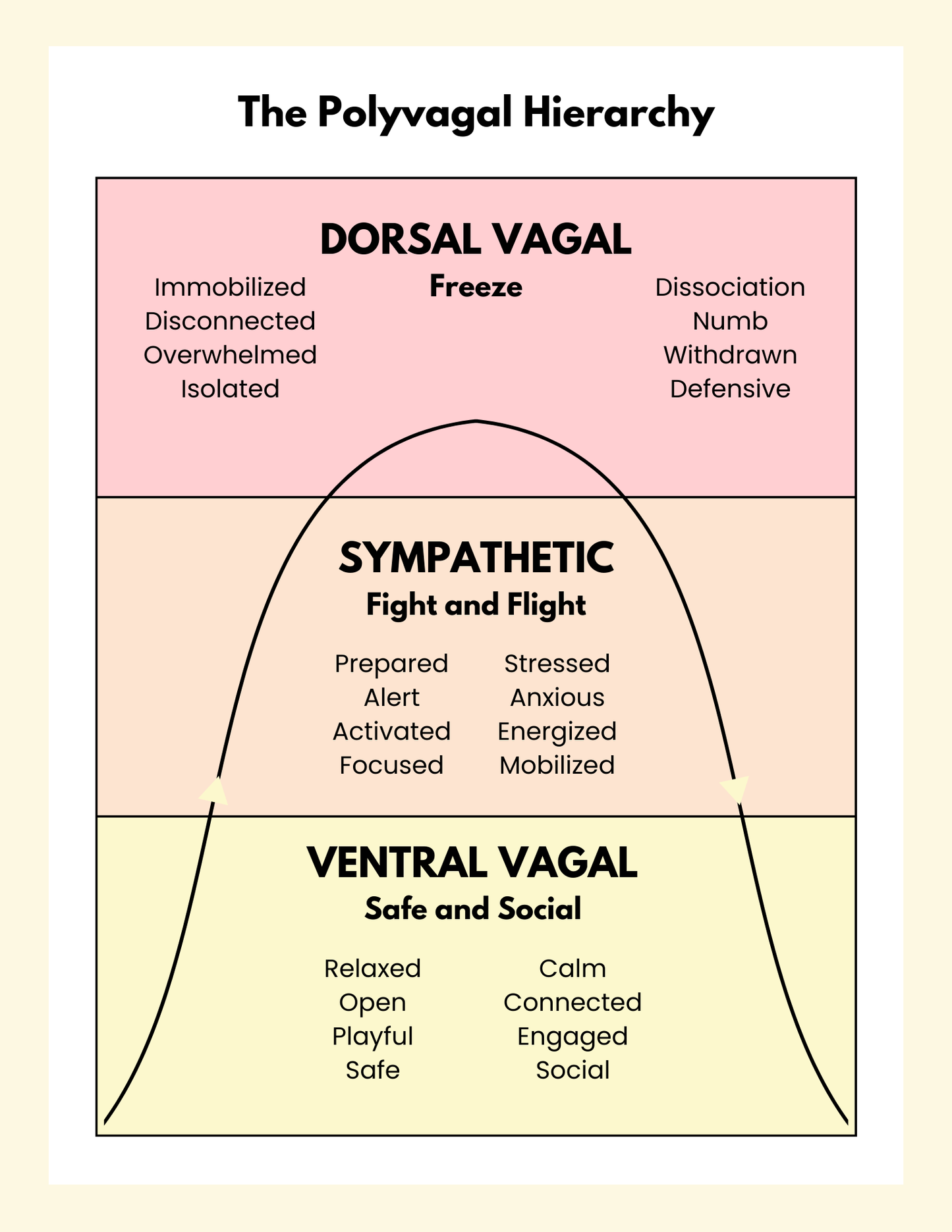 Foundations of Nervous System Regulation: A Neurodivergent-Friendly Roadmap