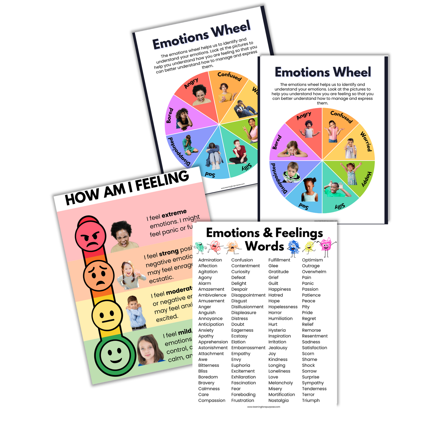 Emotional Regulation Toolbox