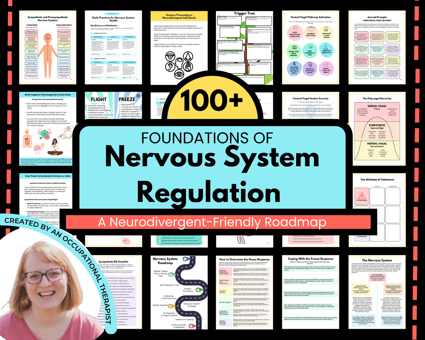 Foundations of Nervous System Regulation: A Neurodivergent-Friendly Roadmap