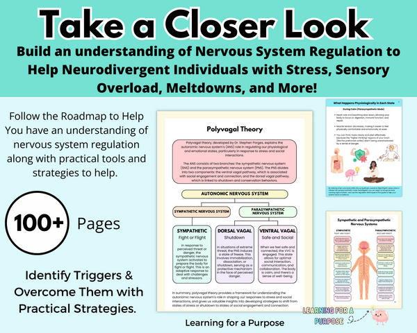 Foundations of Nervous System Regulation: A Neurodivergent-Friendly Ro ...